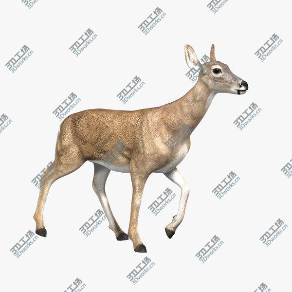 images/goods_img/20210312/Doe (ANIMATED)/2.jpg